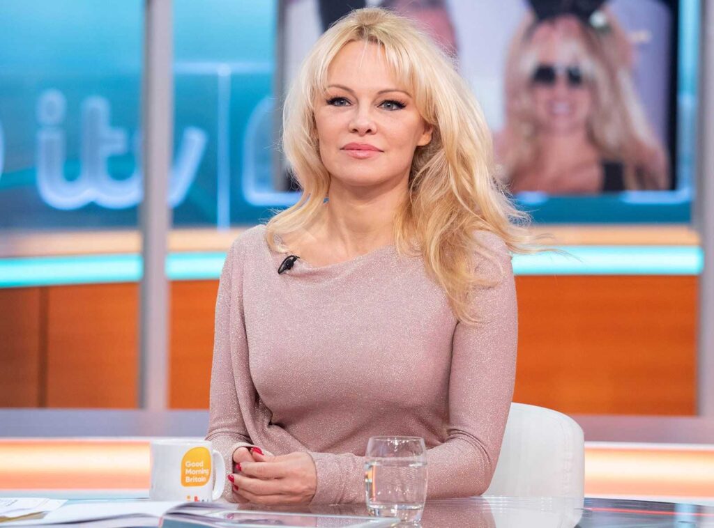 Pamela Anderson Career Spotlight